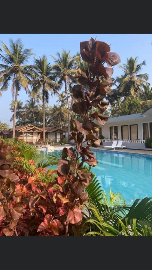 Golden Sands Resort, Morjim Eksteriør bilde